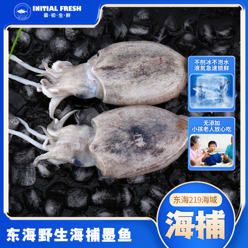 正宗东海野生海捕墨鱼