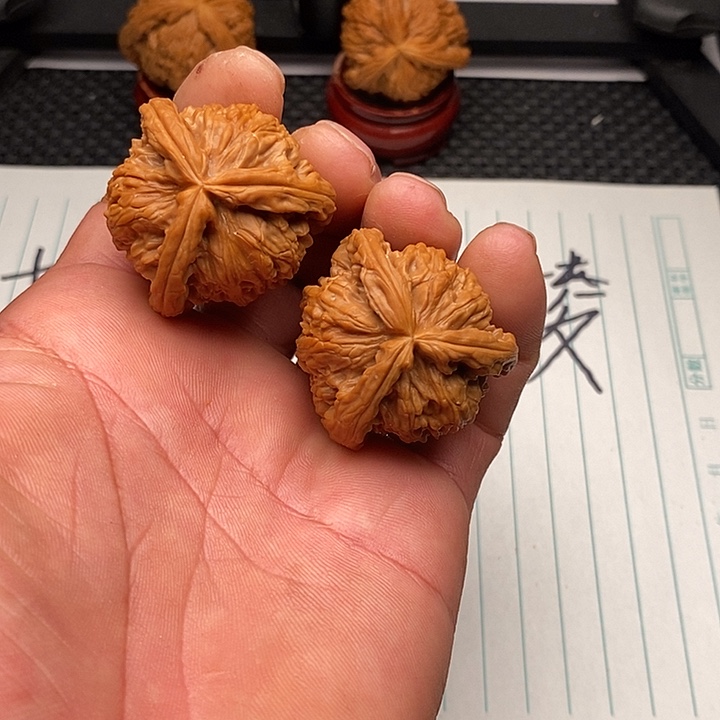 手串/手链核桃白狮子7