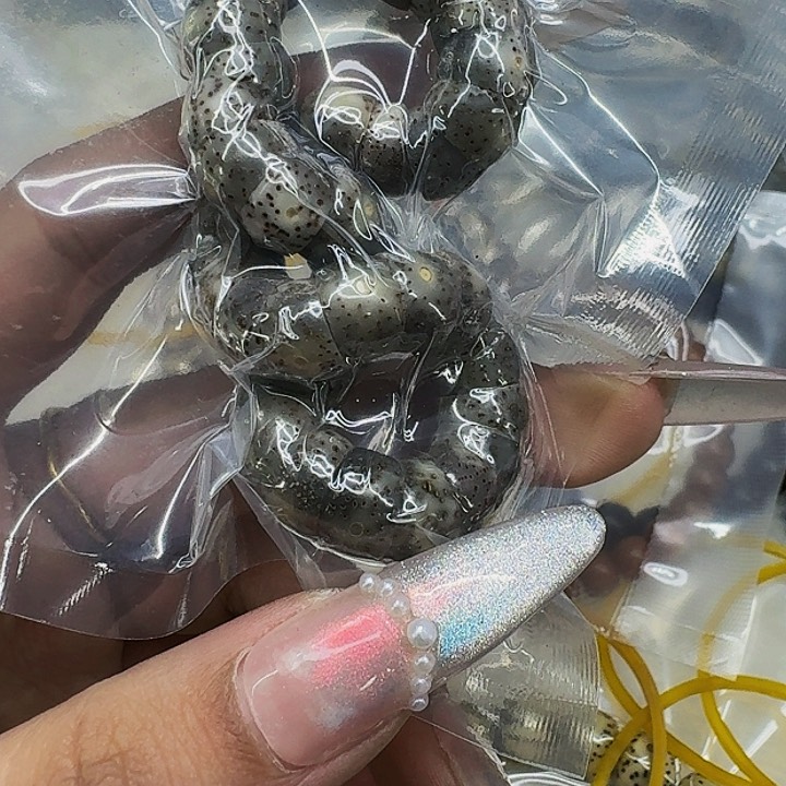 星月菩提手串649快乐星月菩提10