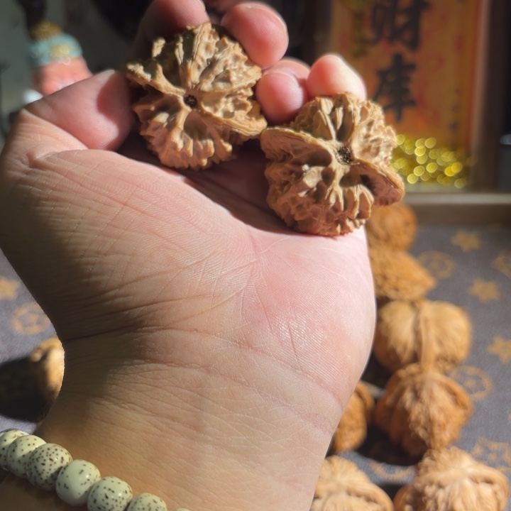 42苹果园全品无修