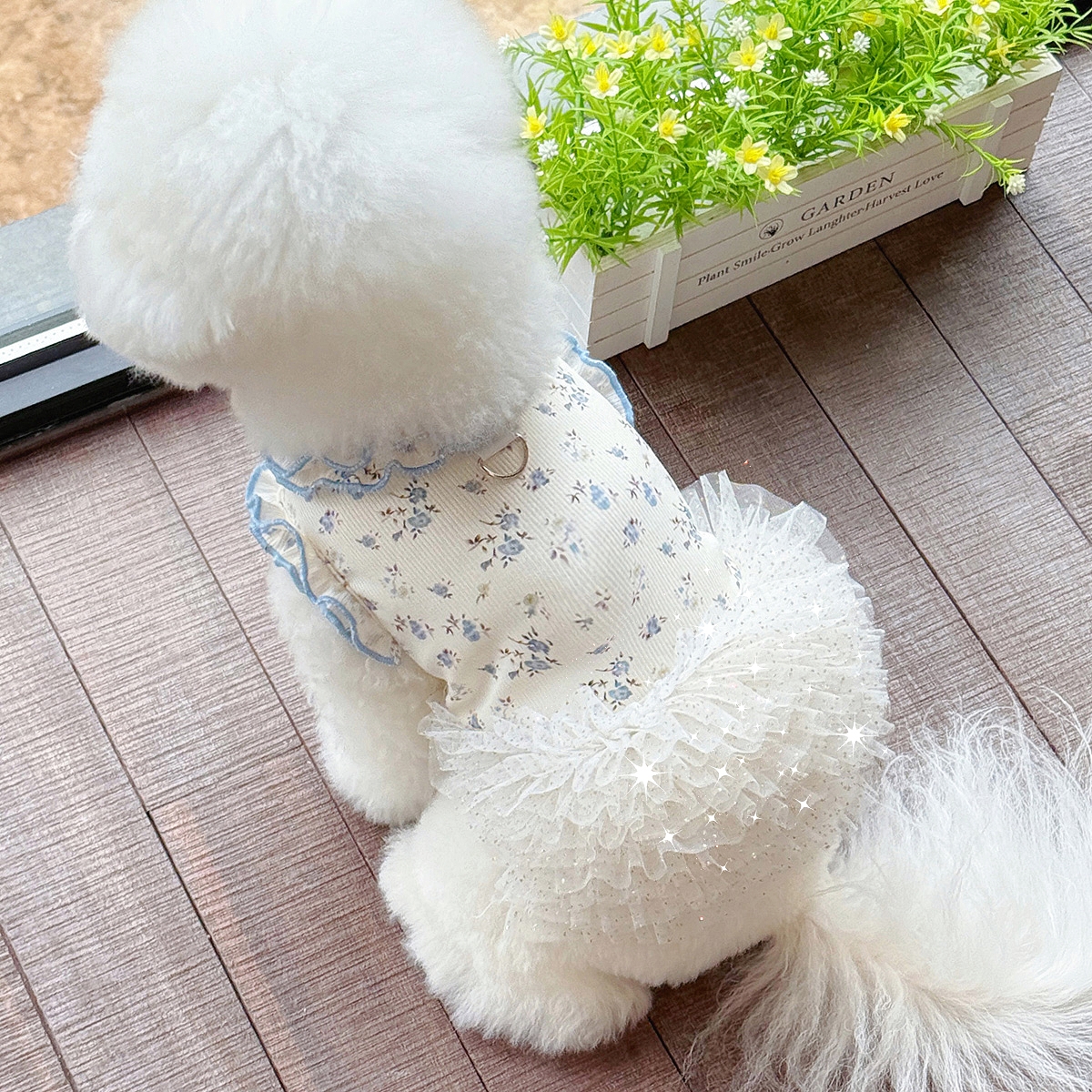 宠物公主裙猫咪衣服春夏季结婚纱礼服芭蕾泰迪狗狗生日蓬蓬裙纱裙