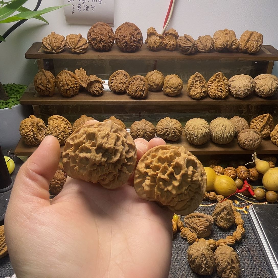 玉溪狮子头全品48.48.43