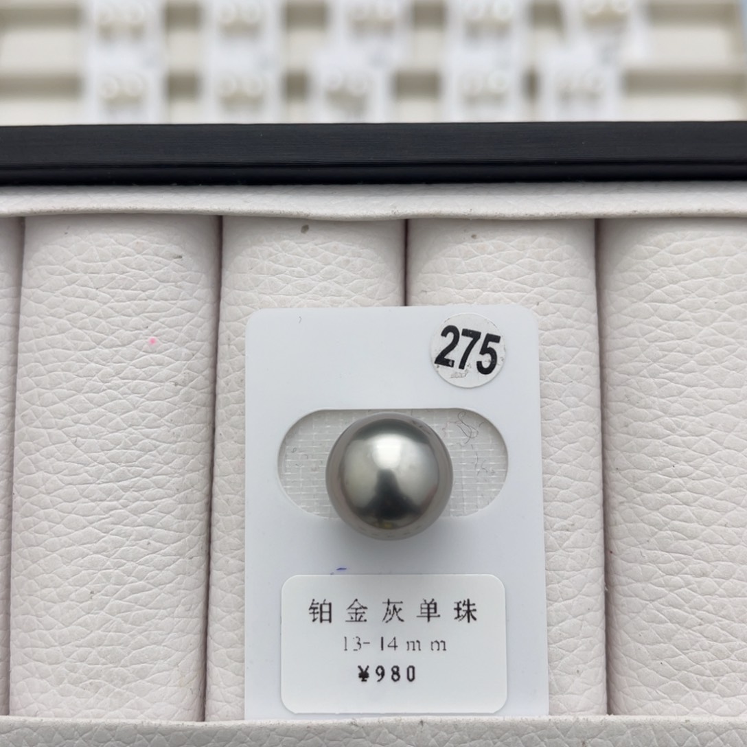 海水珍珠铂金灰未镶嵌