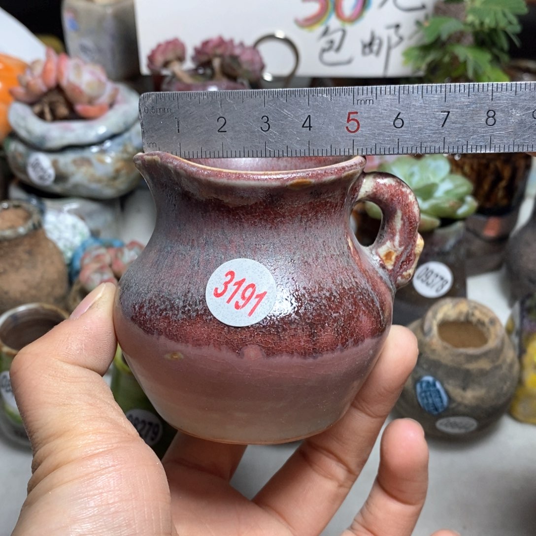 花盆拍3送一个小礼物