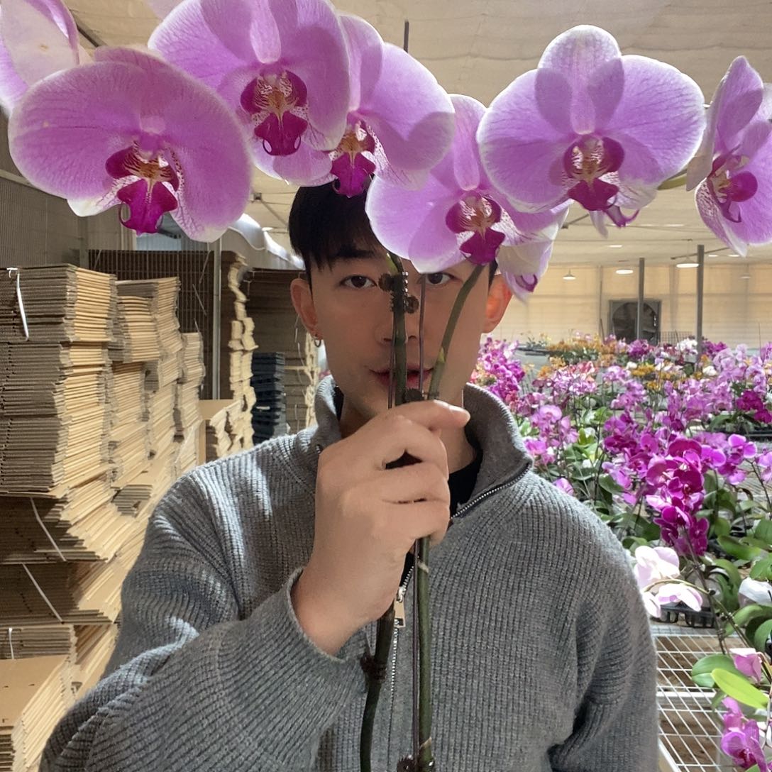 完全开放308两颗装