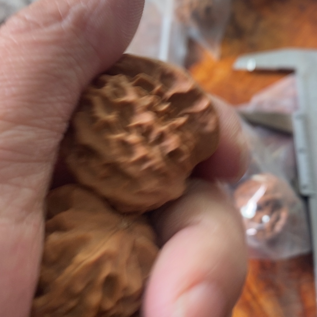 秦岭南侧和东北的山门