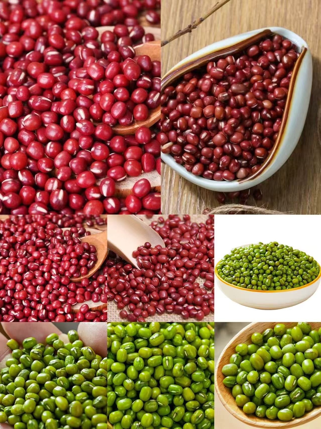 《代》来总专属土特产豆-JL90111