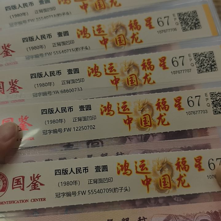 801鸿运福星中国龙五个(特惠专属价)