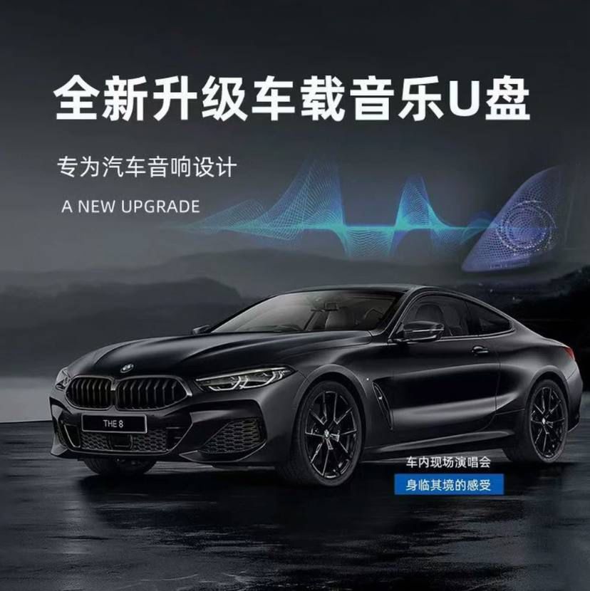 2025新款品牌音乐U盘 高品质真无损车载音乐