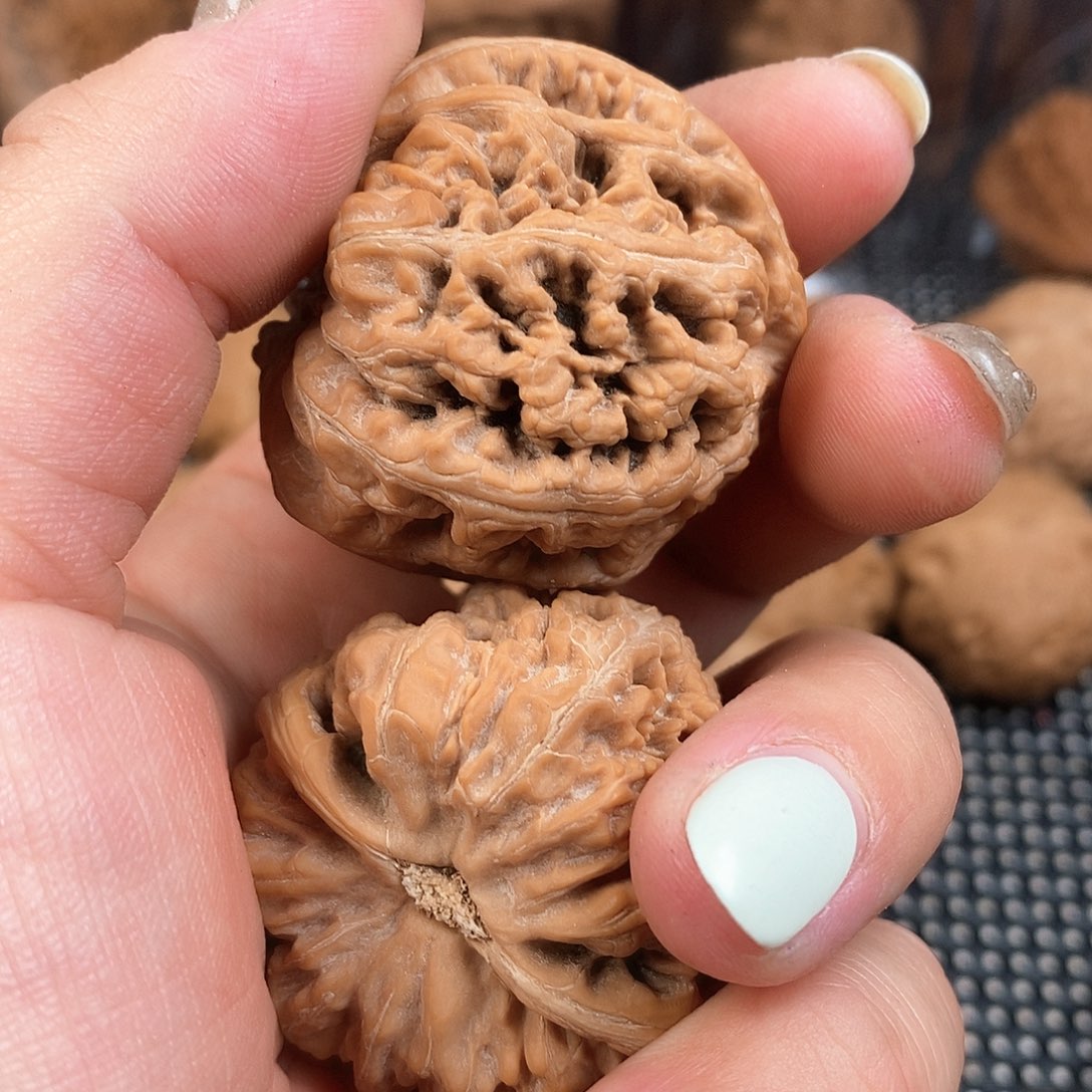 文玩核桃把件马**功41尺大粗筋