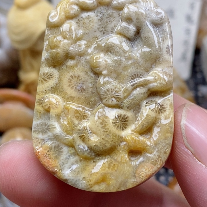 颈饰未镶嵌硅化珊瑚（珊瑚玉）