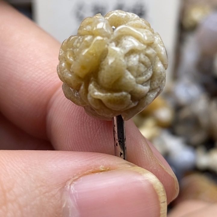硅化珊瑚（珊瑚玉）未镶嵌颈饰
