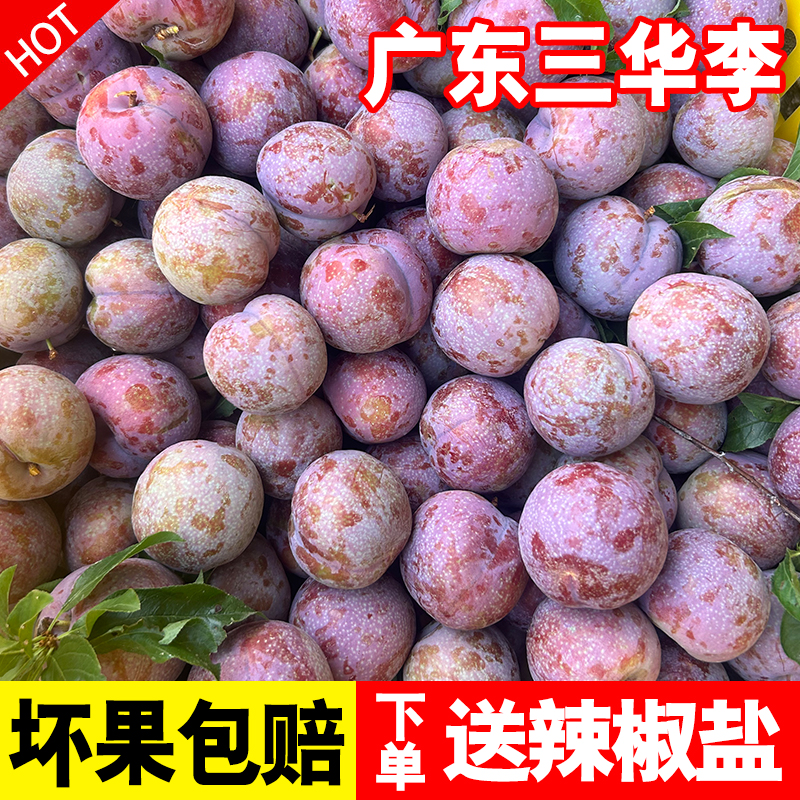 【清园价】新鲜现摘广东红心三华李1斤2斤3斤5斤净重发货广东省