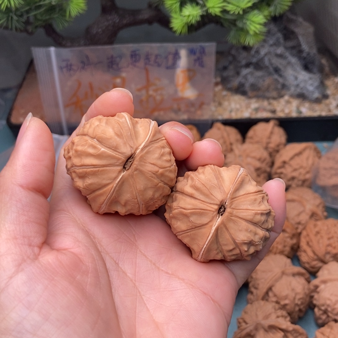 璇***子文玩核桃把件龟甲7