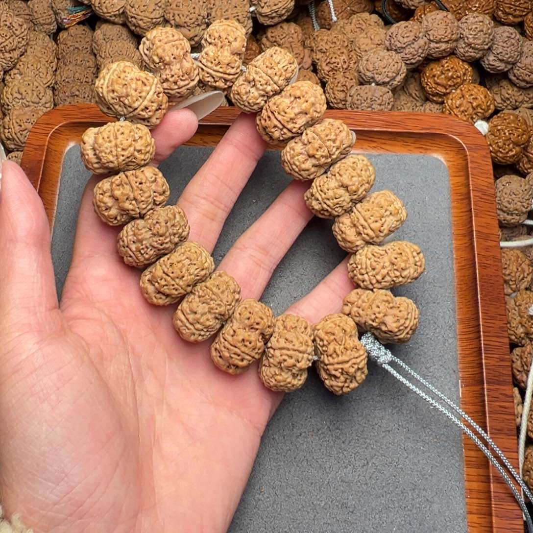 菩提5号尼泊尔大金刚24-25梅花夹板