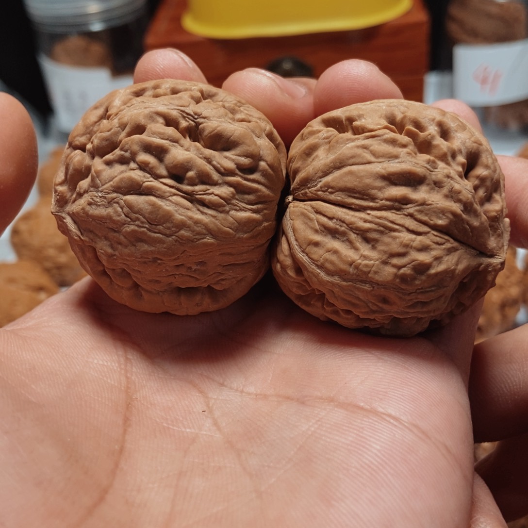 文玩核桃吊坠全品霸王龙蛇头。7