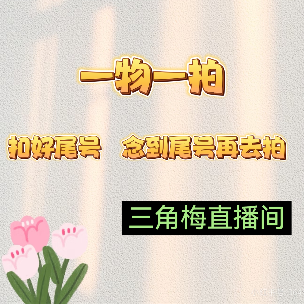 min15.8【一物一拍】三角梅四季勤花爬藤绿植阳台庭院闽家