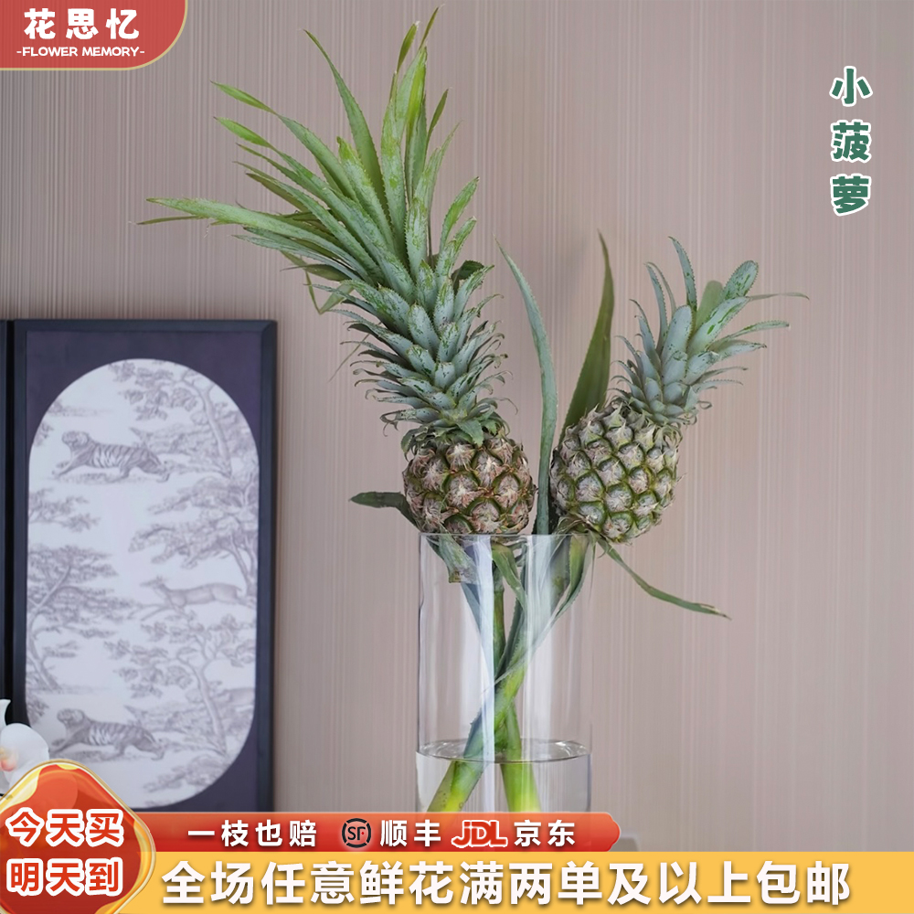 『小菠萝一个』 冬季家居养花 全场任意满两单鲜花顺丰京东送货上门 三单鲜花送玻璃花瓶 小菠萝次日达