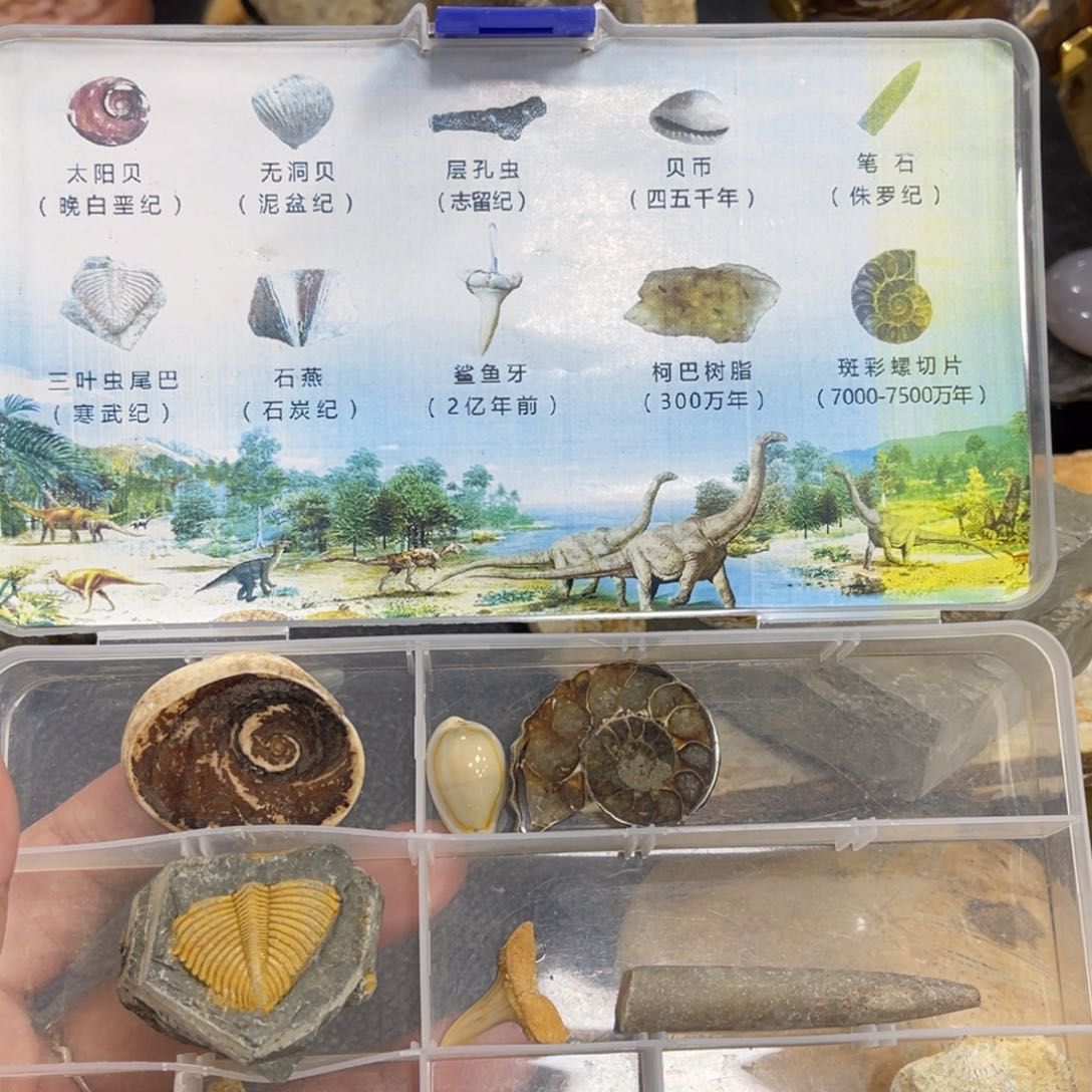 辽西古生物研究基地研究