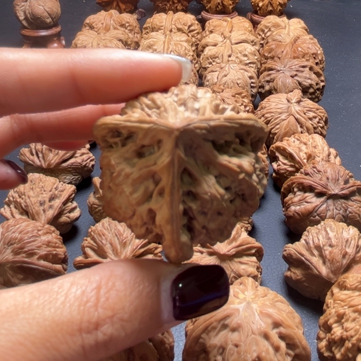 划官帽三棱核桃哈哈哈哈哈哈哈