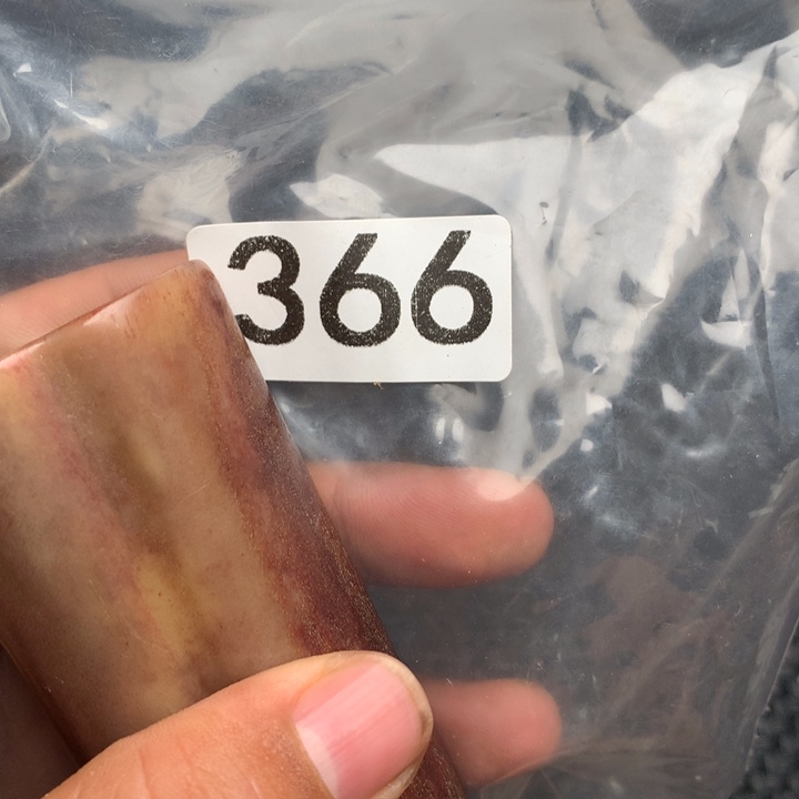 大果紫檀（缅甸花梨）