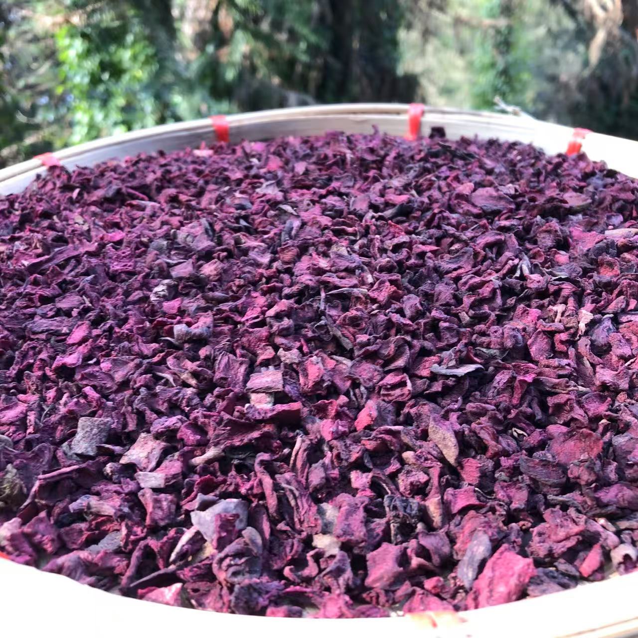 1【藏-血-灵-参-菇】净含量250g-1500g【万万现收】