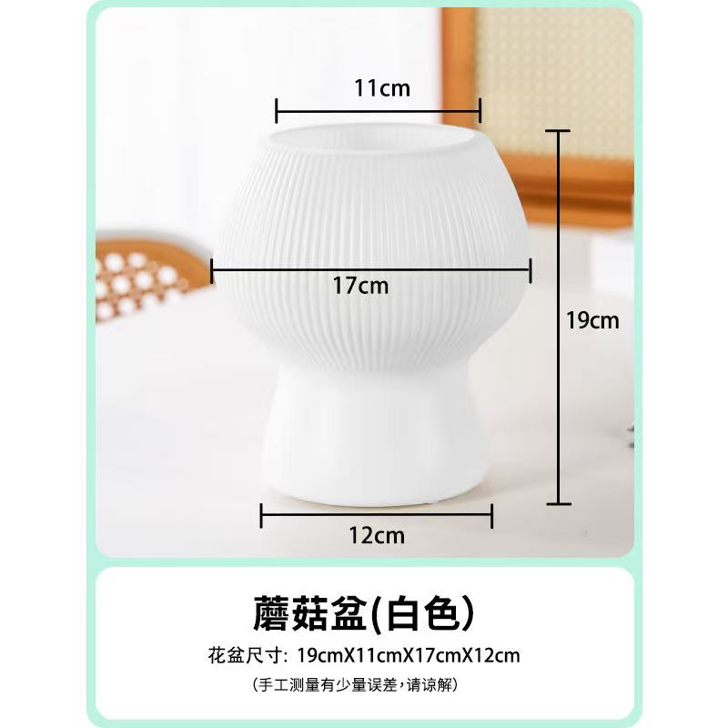 ［京东快递］梦香兰专用 蘑菇花盆 创意花盆美观简约