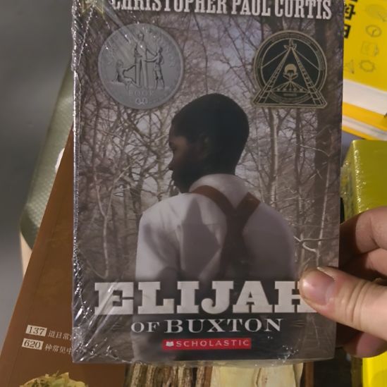 英文书微瑕介意勿拍