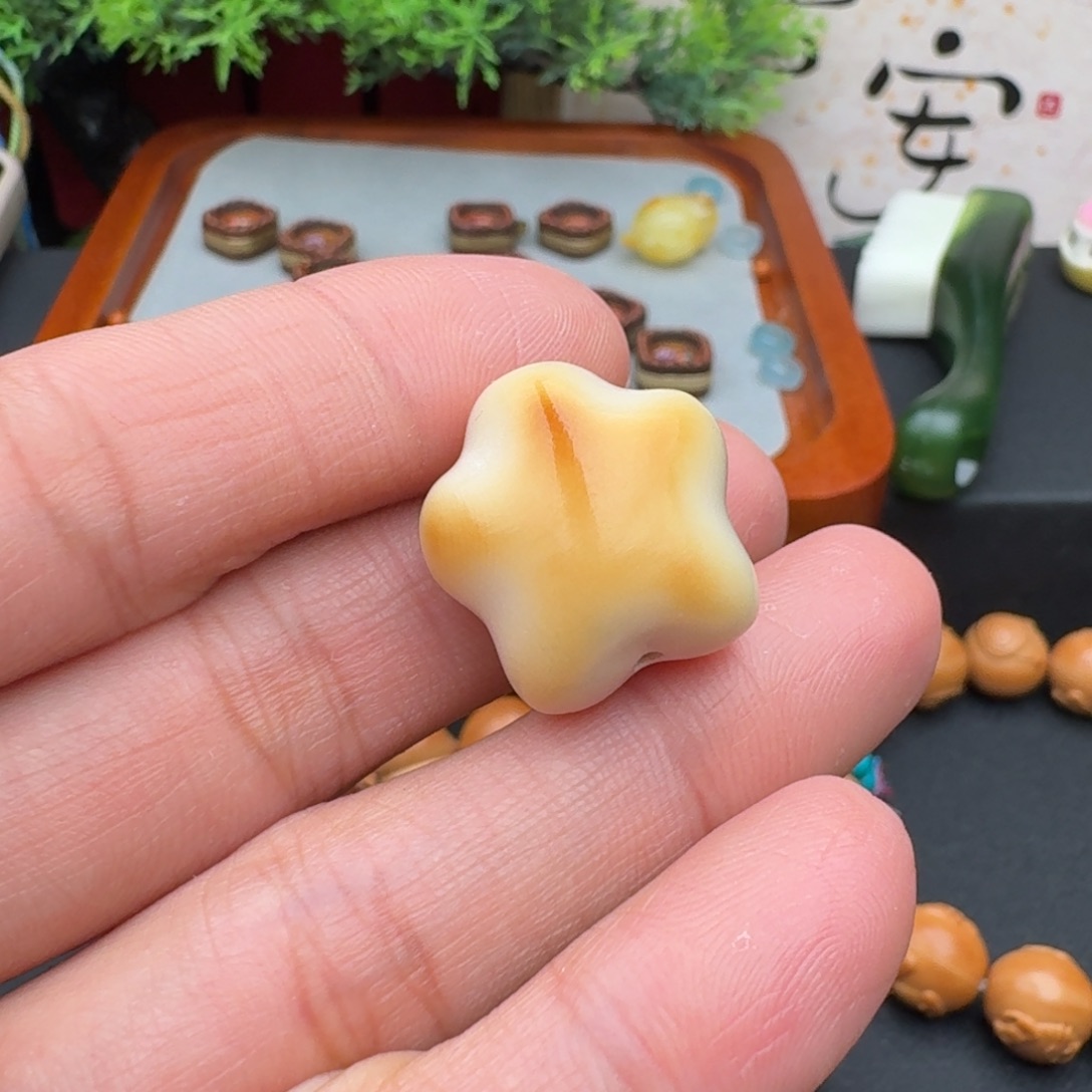 y***o吊坠猴头核桃象牙果星星单粒