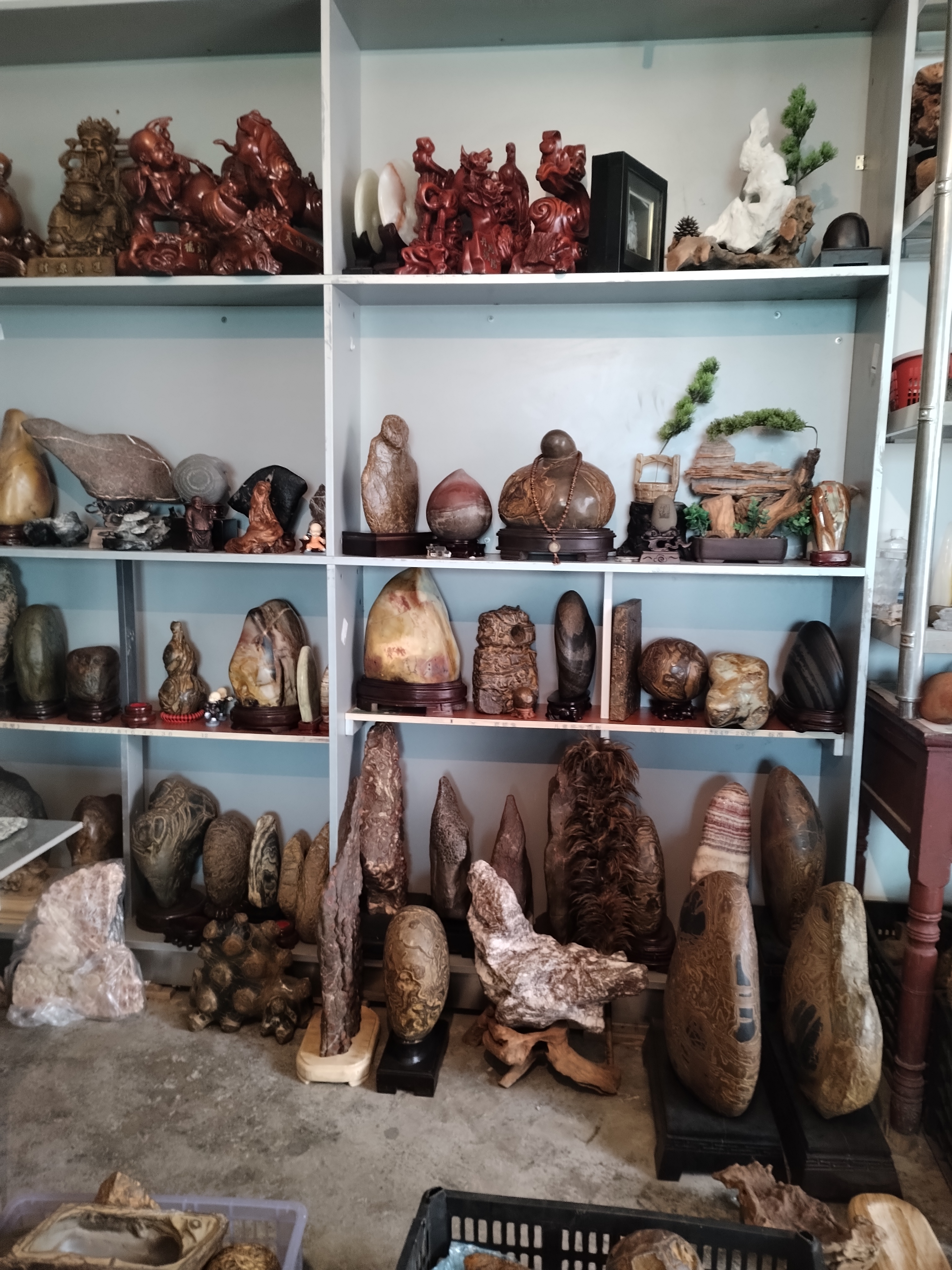 古铜石，珊瑚化石