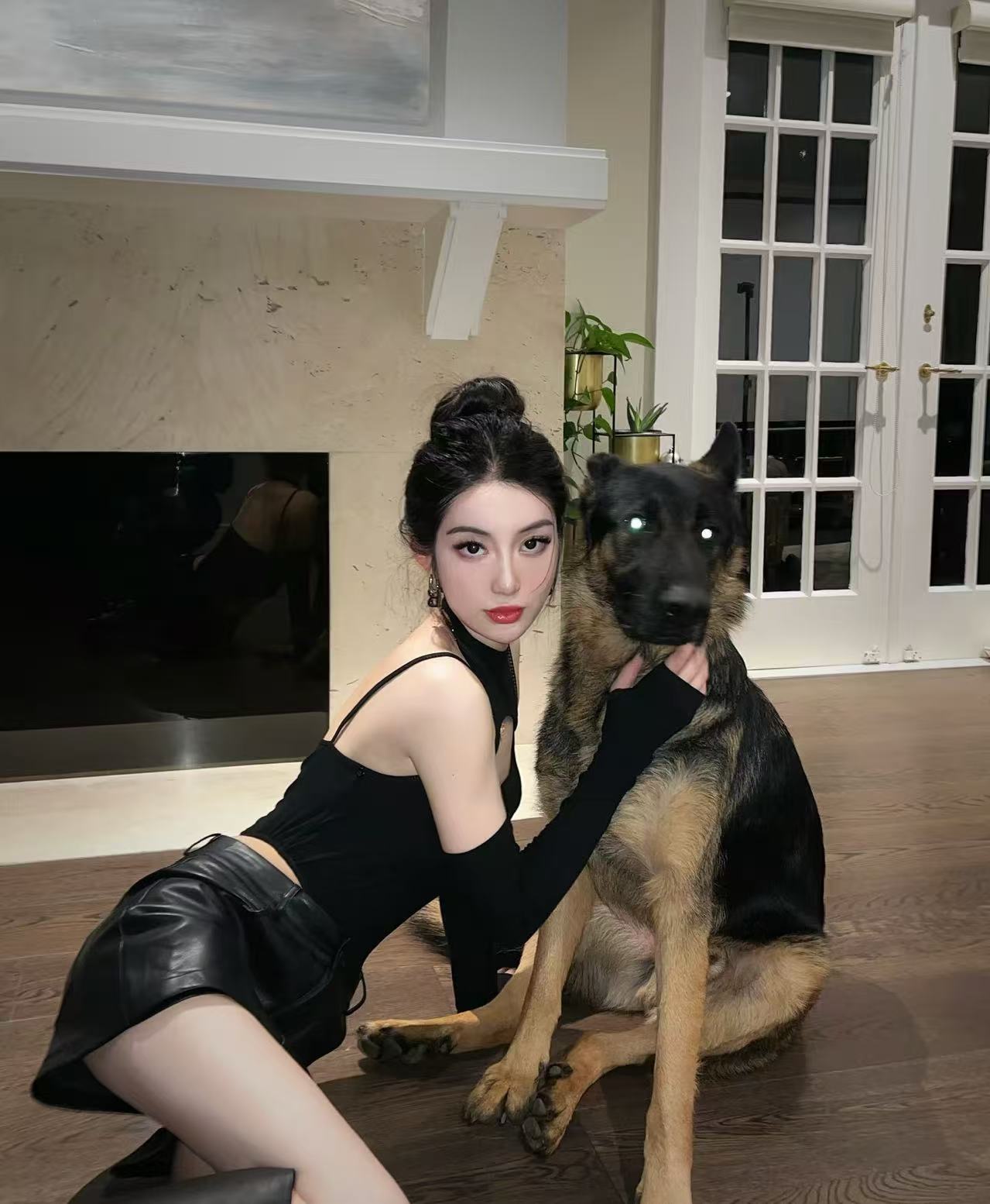 李恒宠物德牧颜值提升术Skill: Beauty care