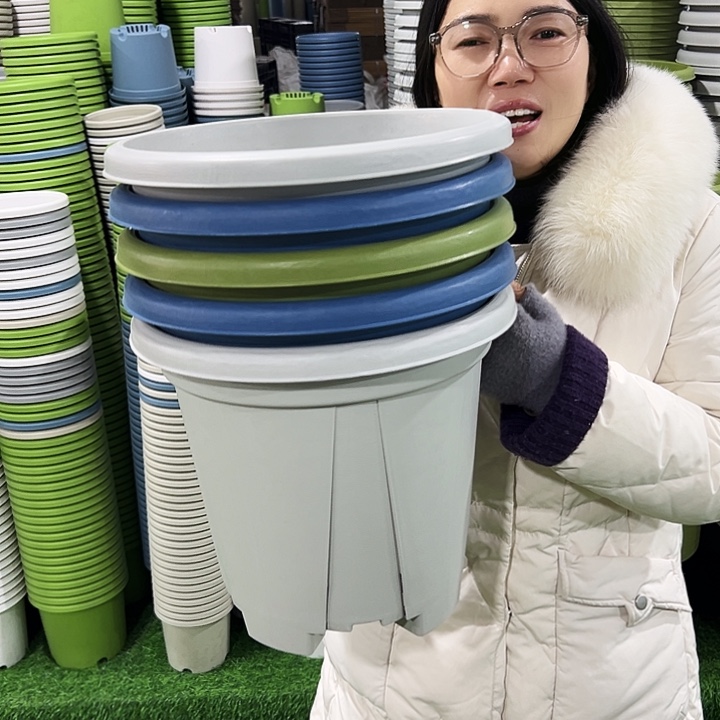 正品青山口32高28果绿色无托5只