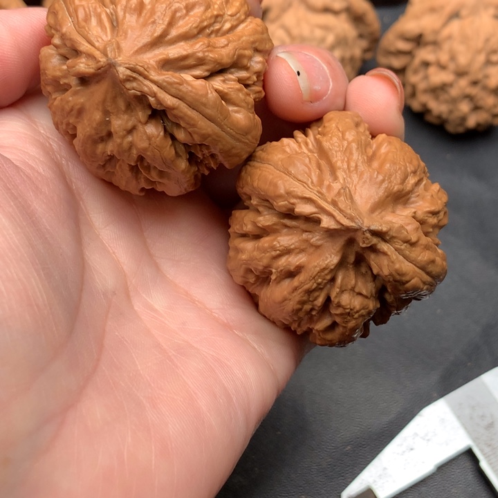 文玩核桃吊坠霸王龙