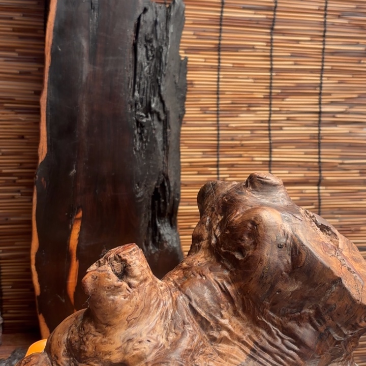 摄***三大叶紫檀（黑酸枝木类）