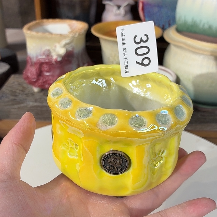 花盆花盆花盆花盆微瑕