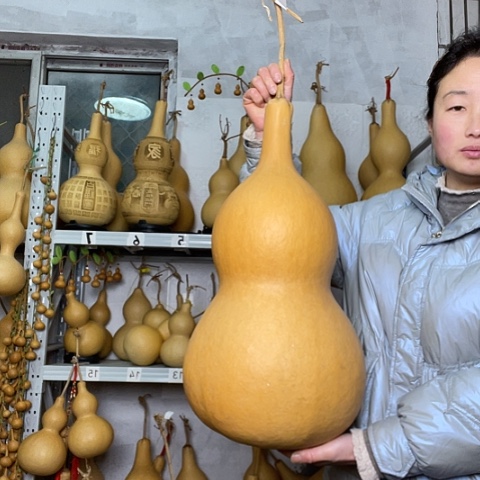 硬*天然植物葫芦文玩