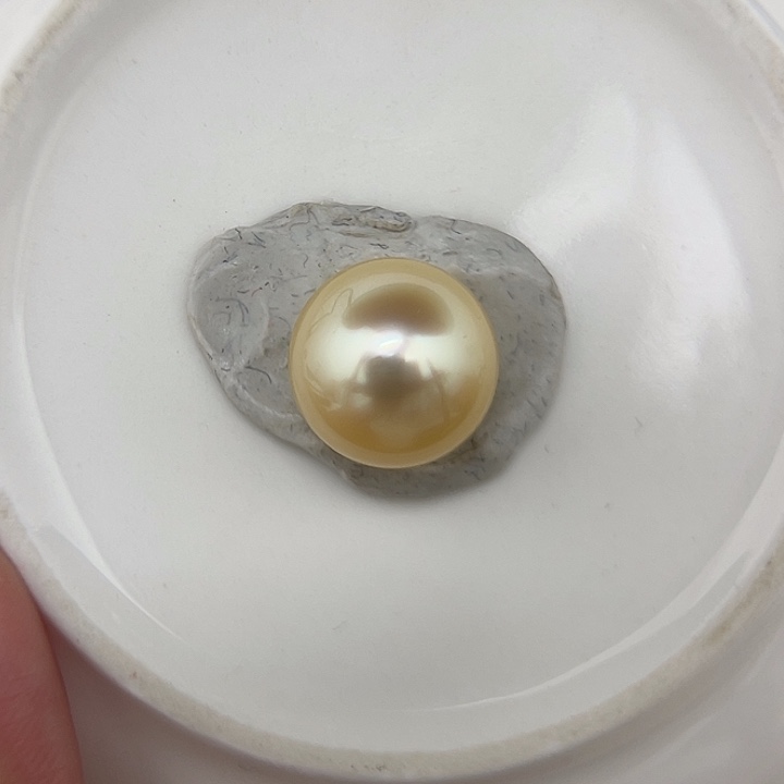 颈饰海水珍珠未镶嵌13.6 金珠 干枯金 面珠