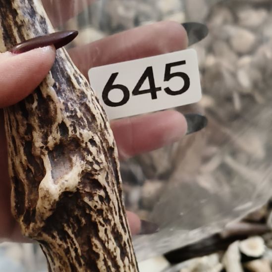 A***巴鹿角鹿角鹿角鹿角鹿角鹿角