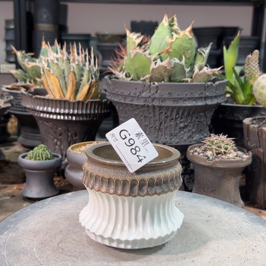 景德镇手工素里内口7.7高8.5