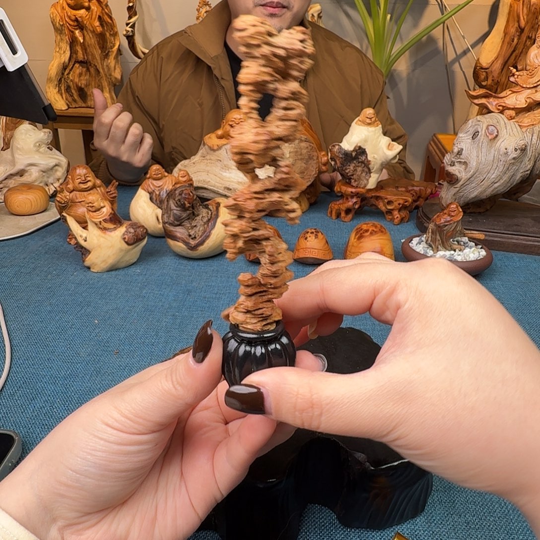 檀香木关注一下我的朋友