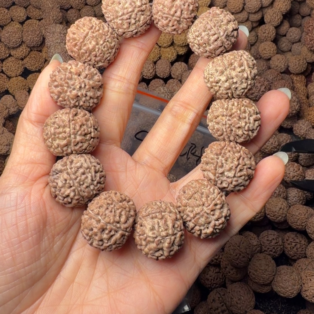 金刚菩提手串8瓣卡22尺，101号