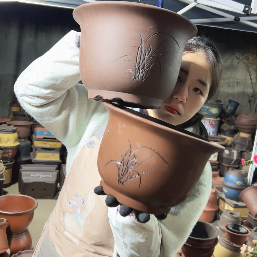 21+21平角金钟花盆花盆花盆