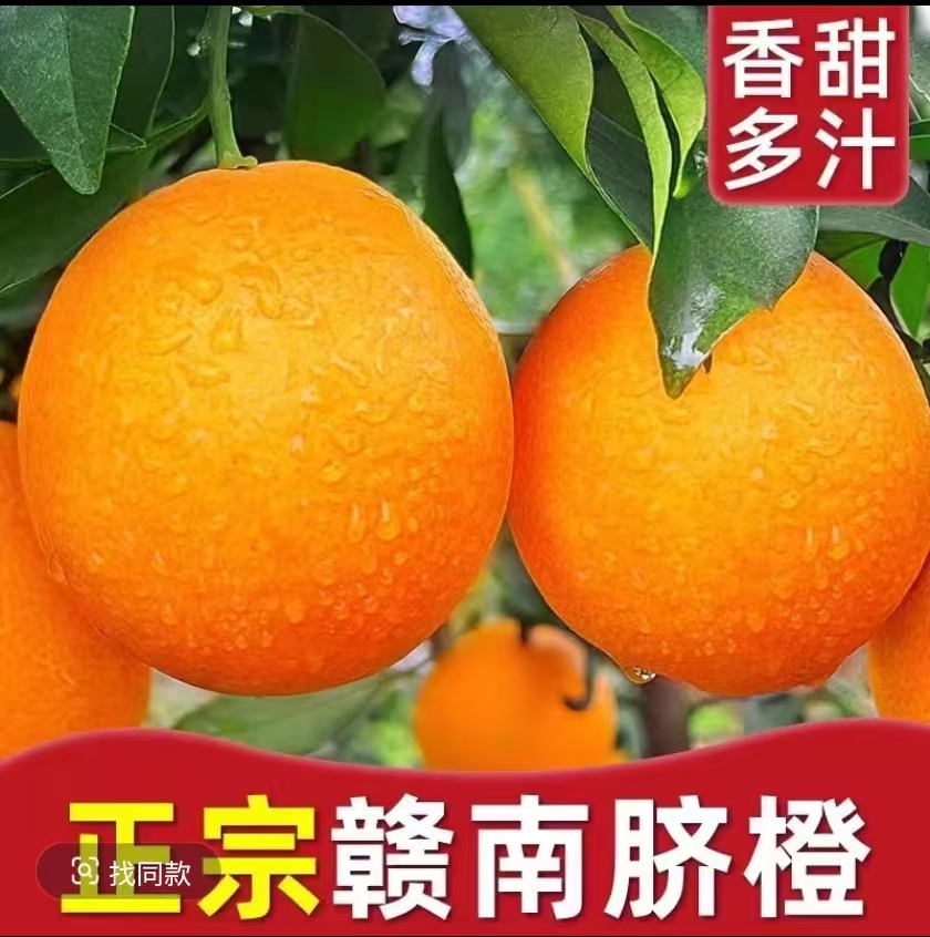正宗赣南脐橙新鲜现摘多汁香甜产地直发当季水果