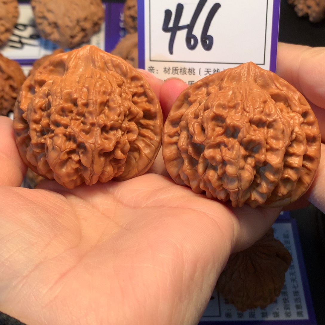 核桃466官帽5.2全品