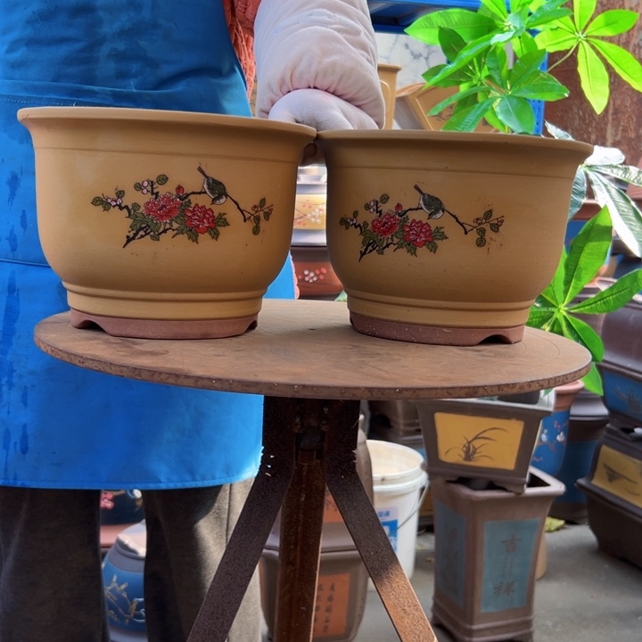 黄色鸟语花香小一对花盆花盆