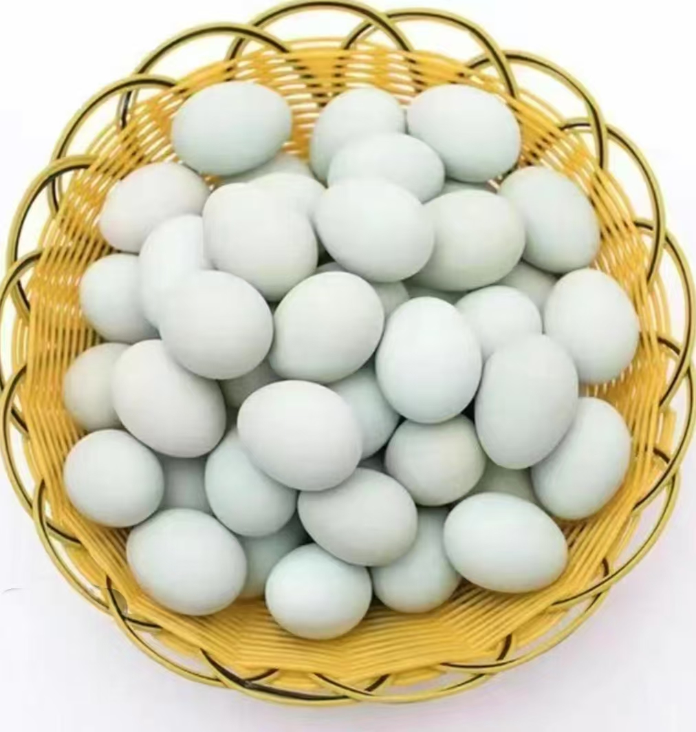 （朱书记助农）鸭蛋农户家中自己养殖