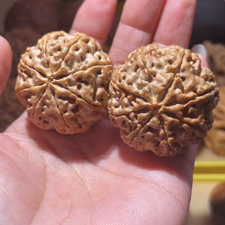 桃核把件稀有超大八瓣金刚菩提