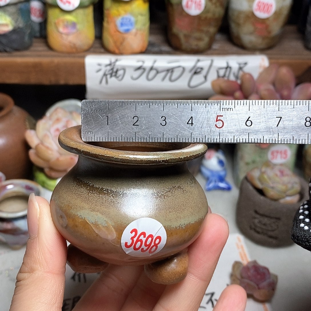 红陶拍5送一个小