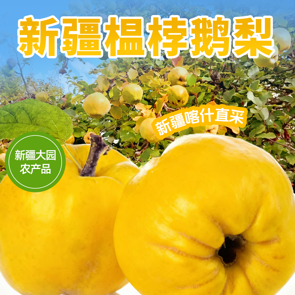 新疆特色罕见水果榅桲 新鲜美味新疆木瓜 鹅梨帐中香 新鲜水果