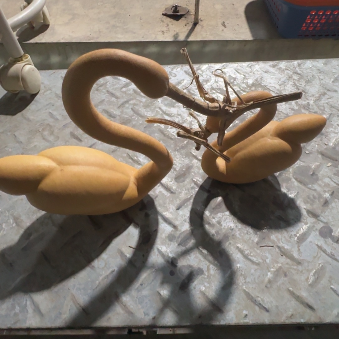 福***修葫芦1111111111111